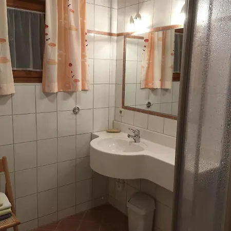 Apartment Pfeifer Birgitt Sankt Gallenkirch