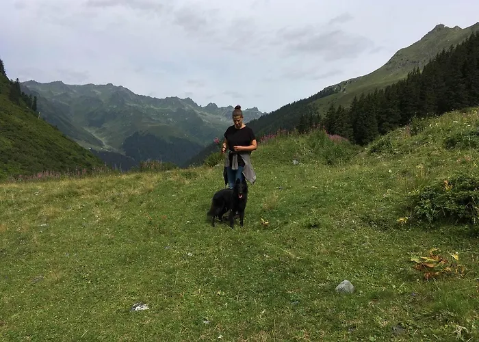 Pfeifer Birgitt Apartament *